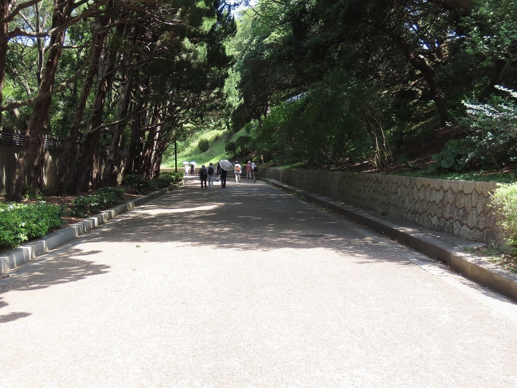 07.jpg