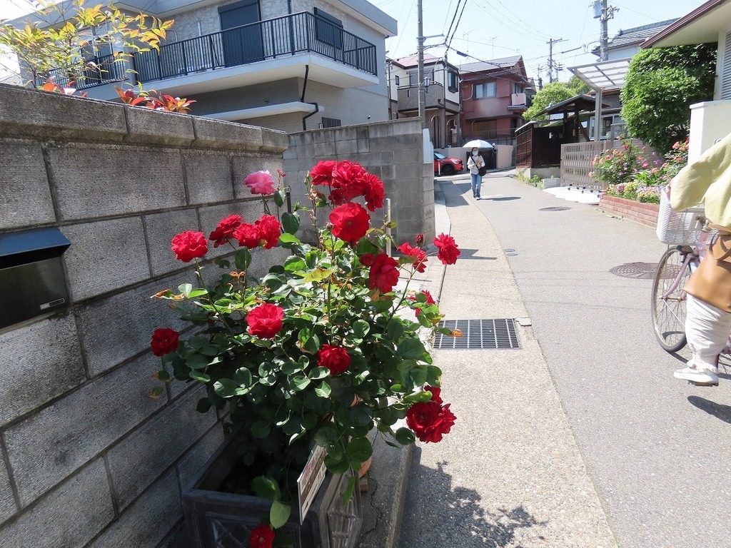07.jpg