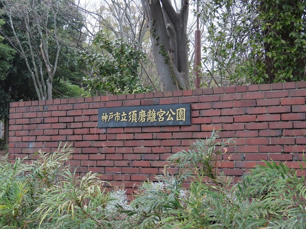 09.jpg