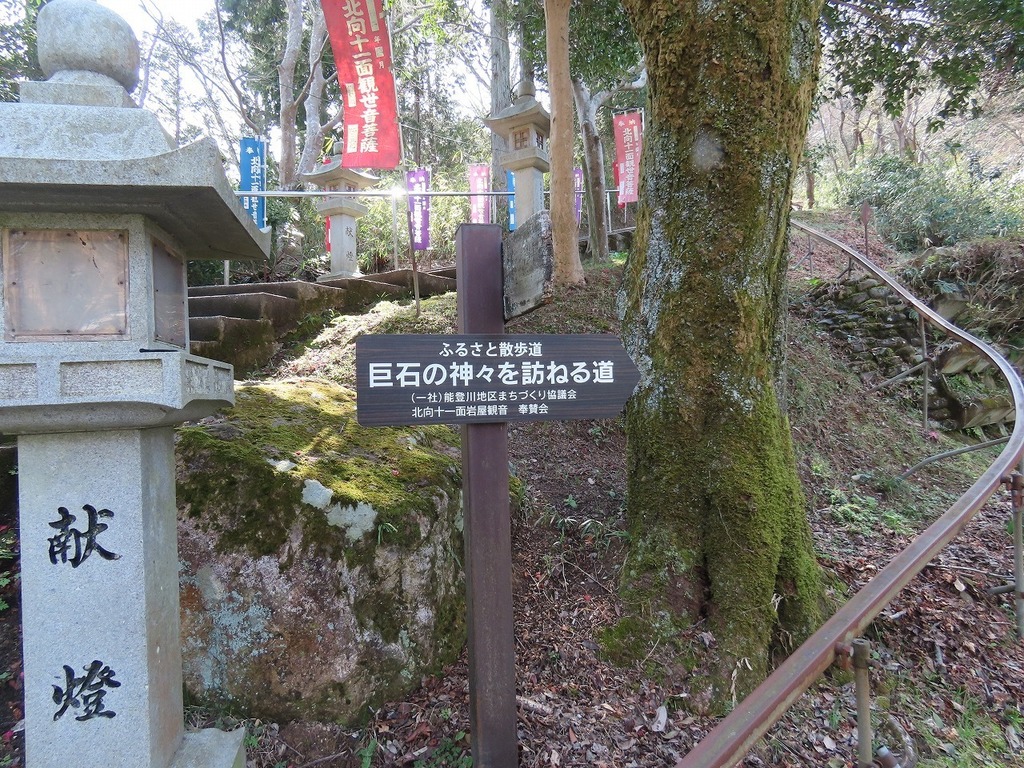 100.jpg