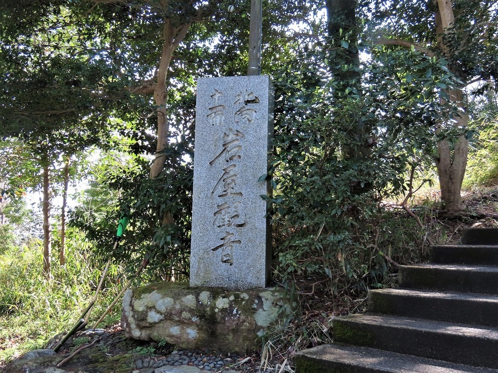101.jpg
