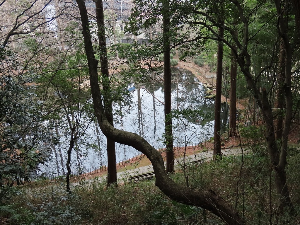 103.jpg