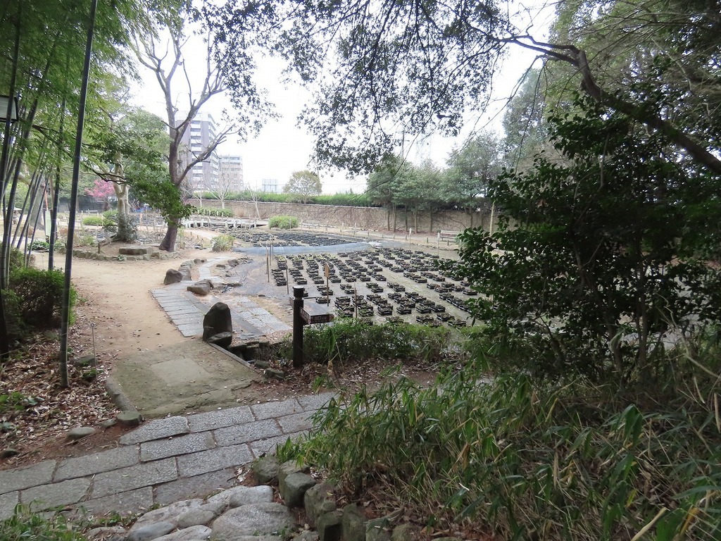 104.jpg