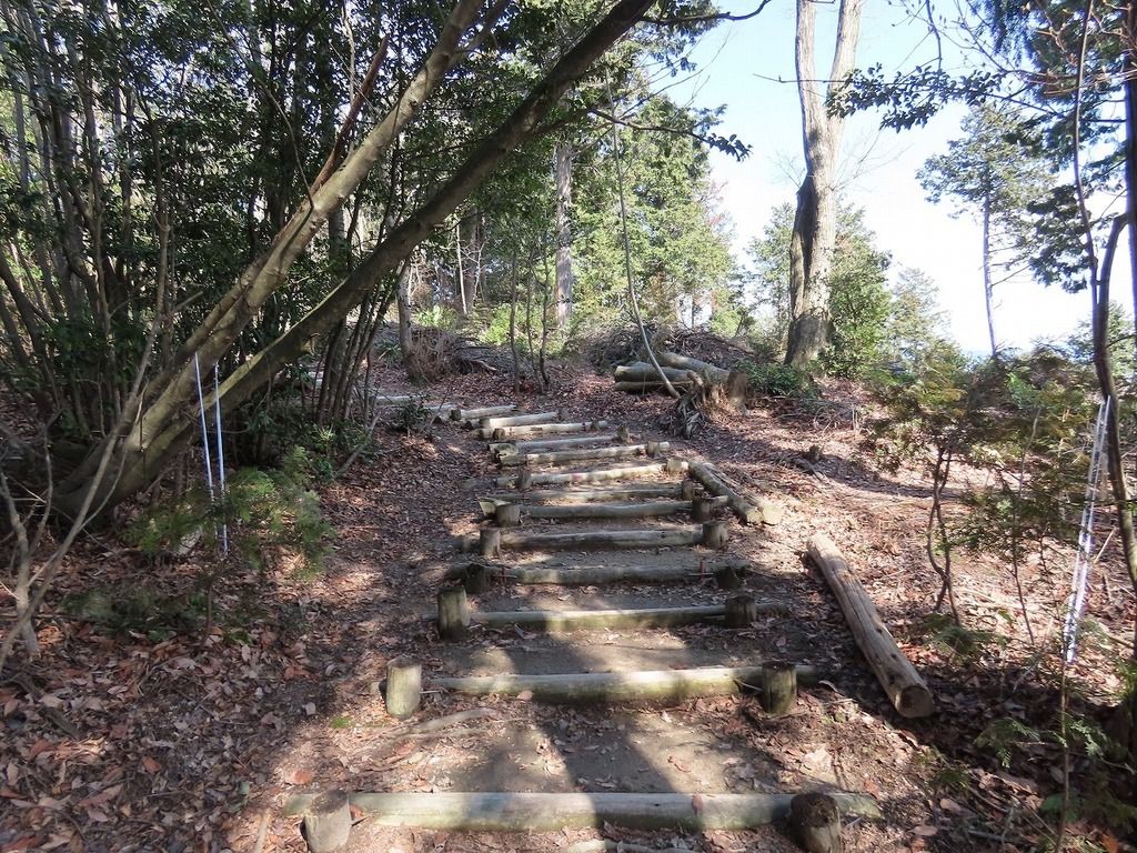 104.jpg