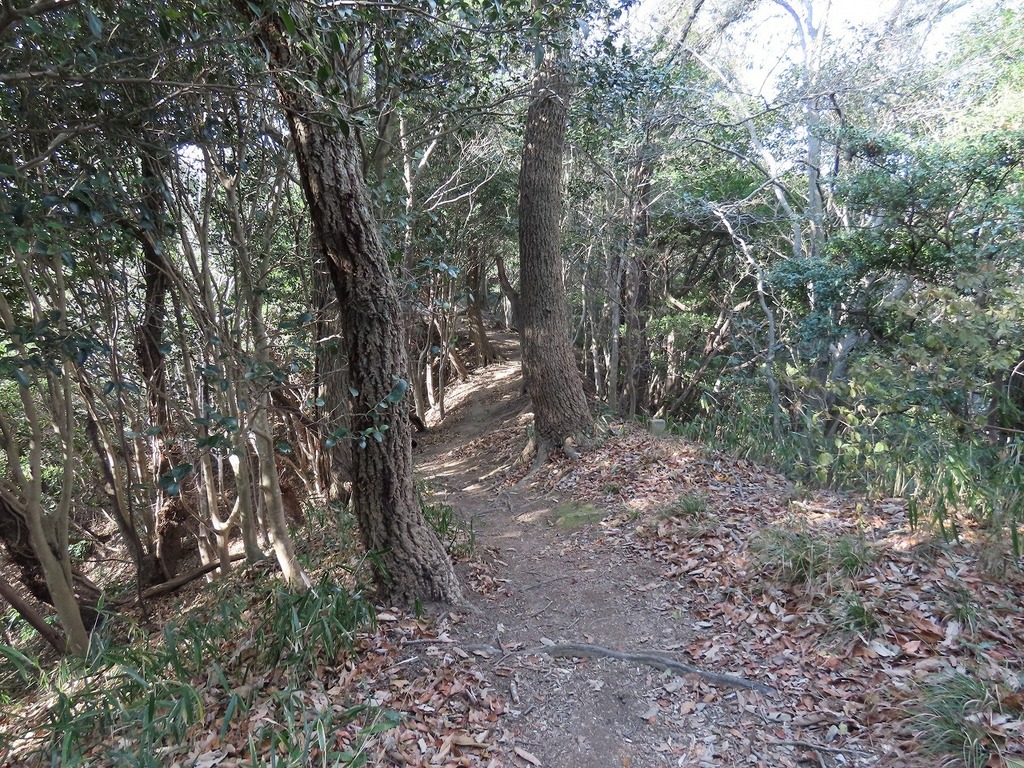 105.jpg