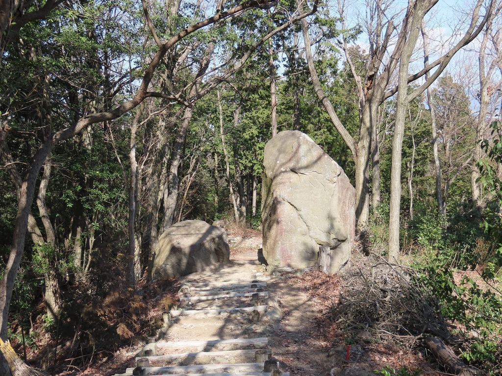106.jpg
