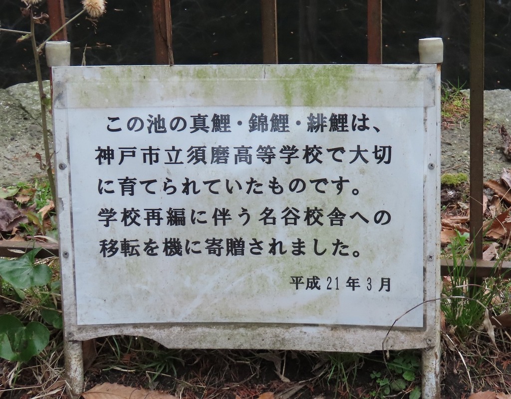 106.jpg