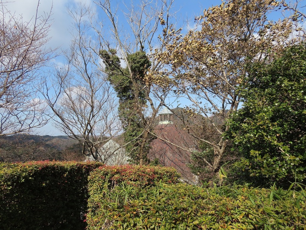 107.jpg