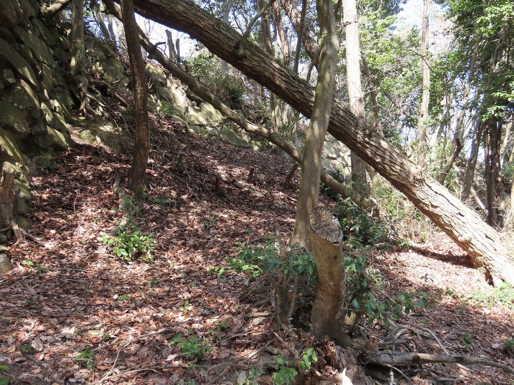 109.jpg