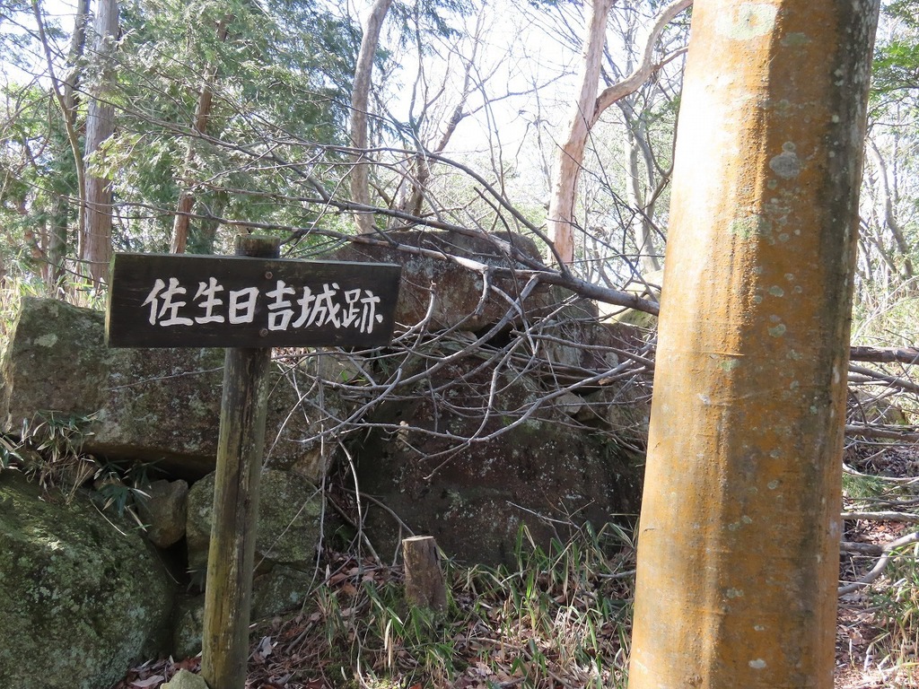 112.jpg
