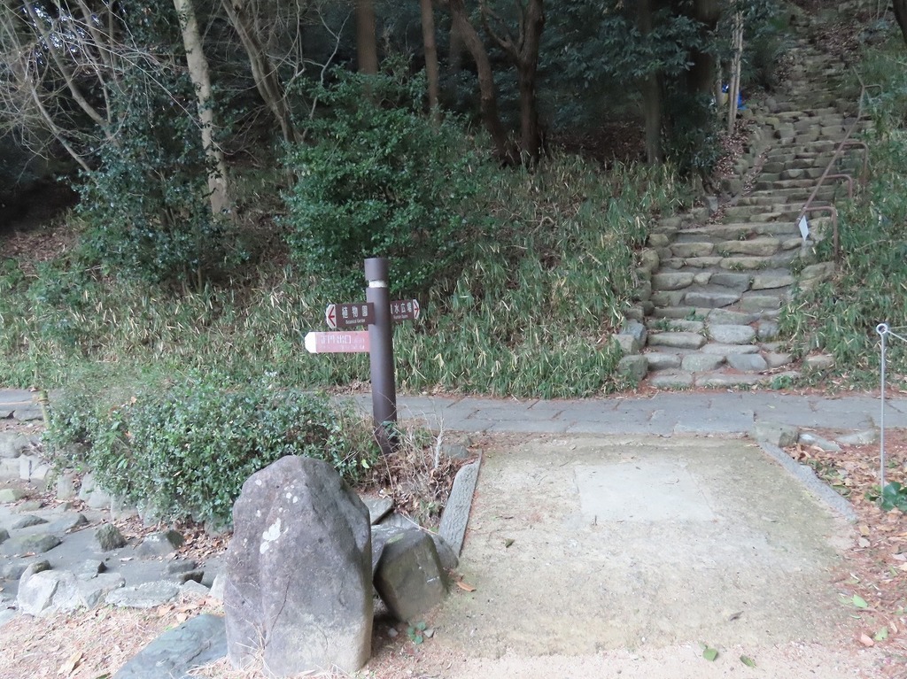 113.jpg