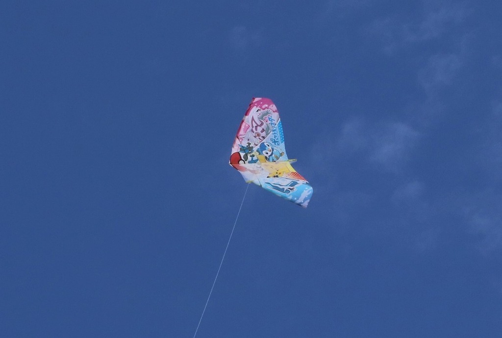 114.jpg