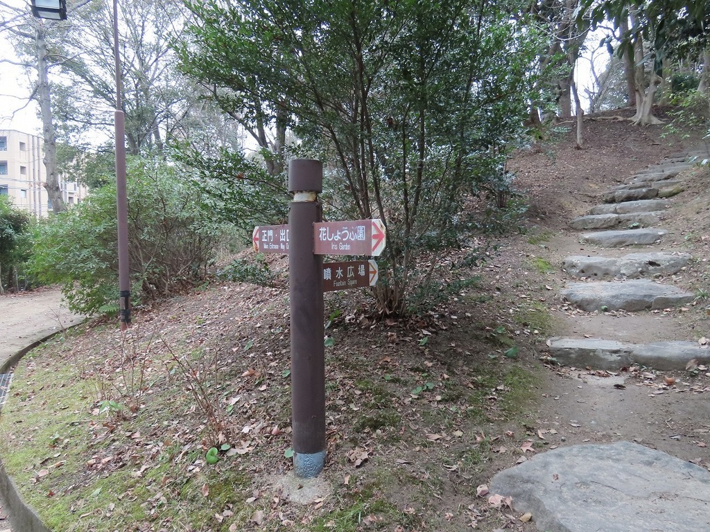 116.jpg
