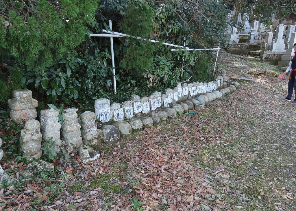 120.jpg