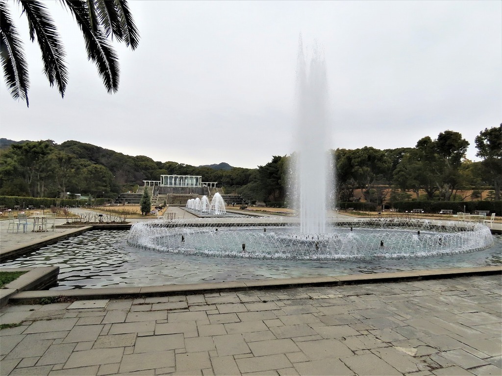 122.jpg