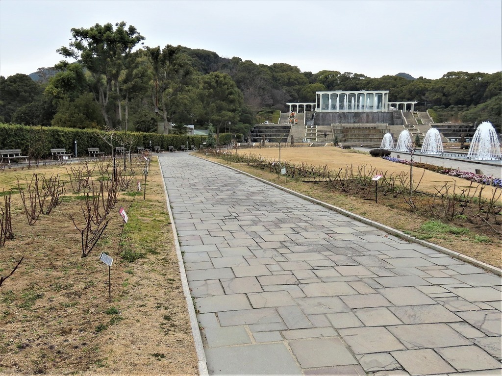 124.jpg