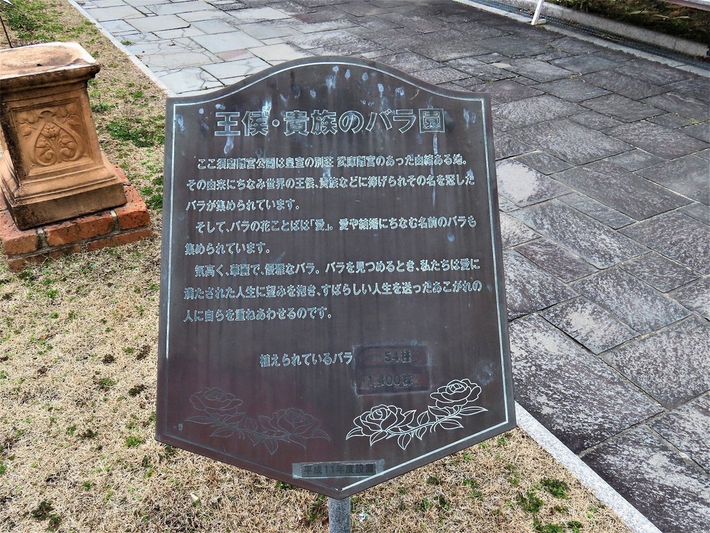 125.jpg