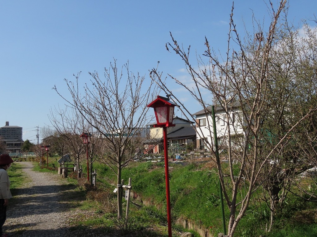 127.jpg