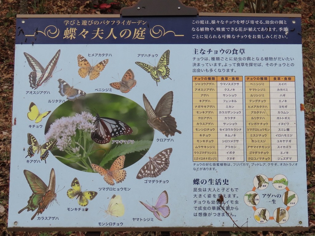 13.JPG