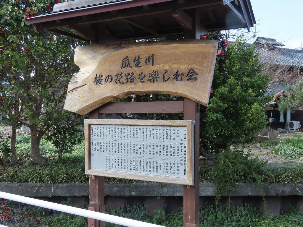 130.jpg