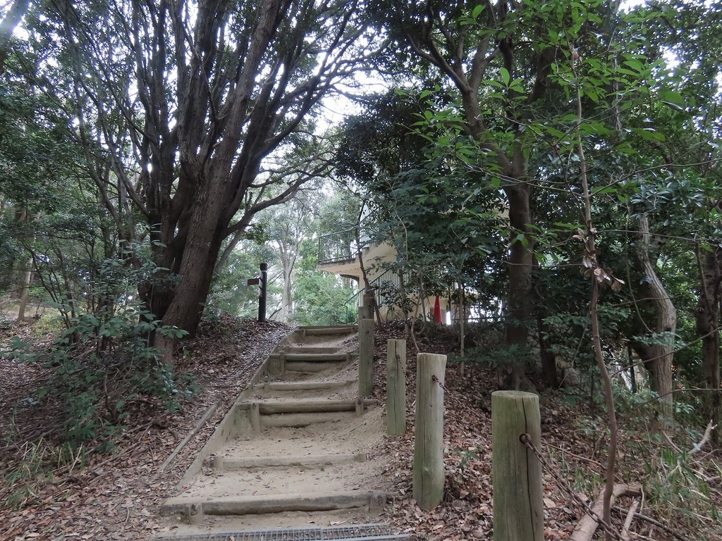 137.jpg
