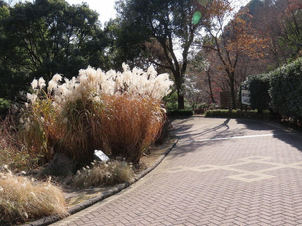 151.jpg
