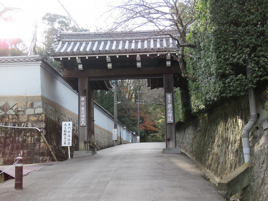 169.jpg