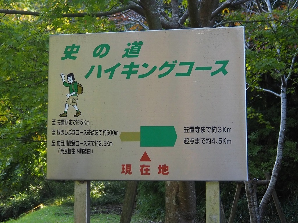 172.jpg