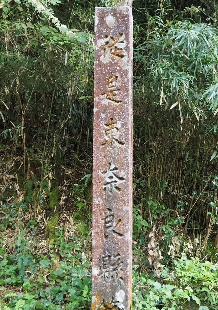 182.jpg