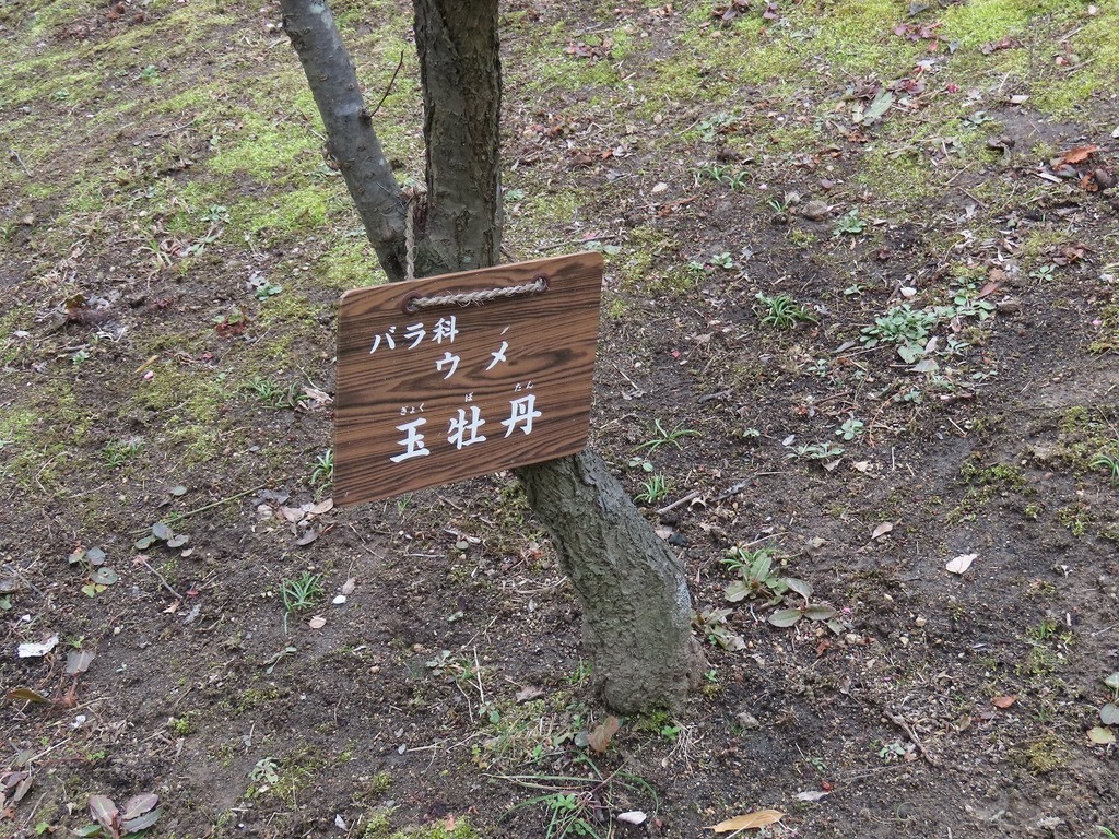 29.jpg