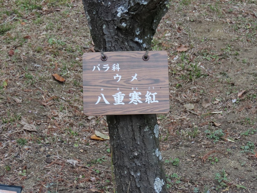 37.jpg