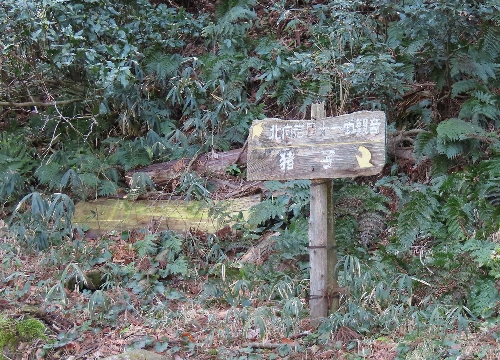 39.jpg