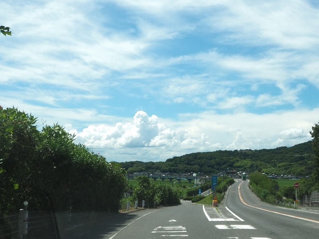 44.jpg