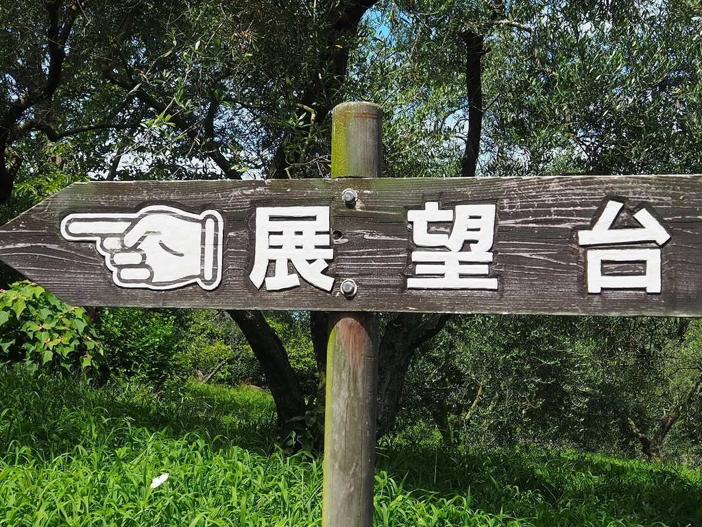 51.jpg