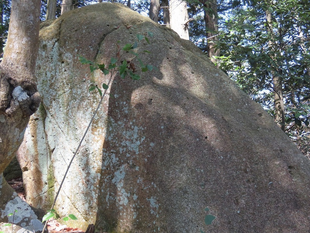 55.jpg