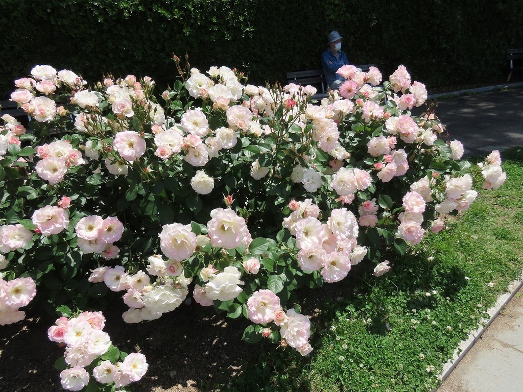59.jpg