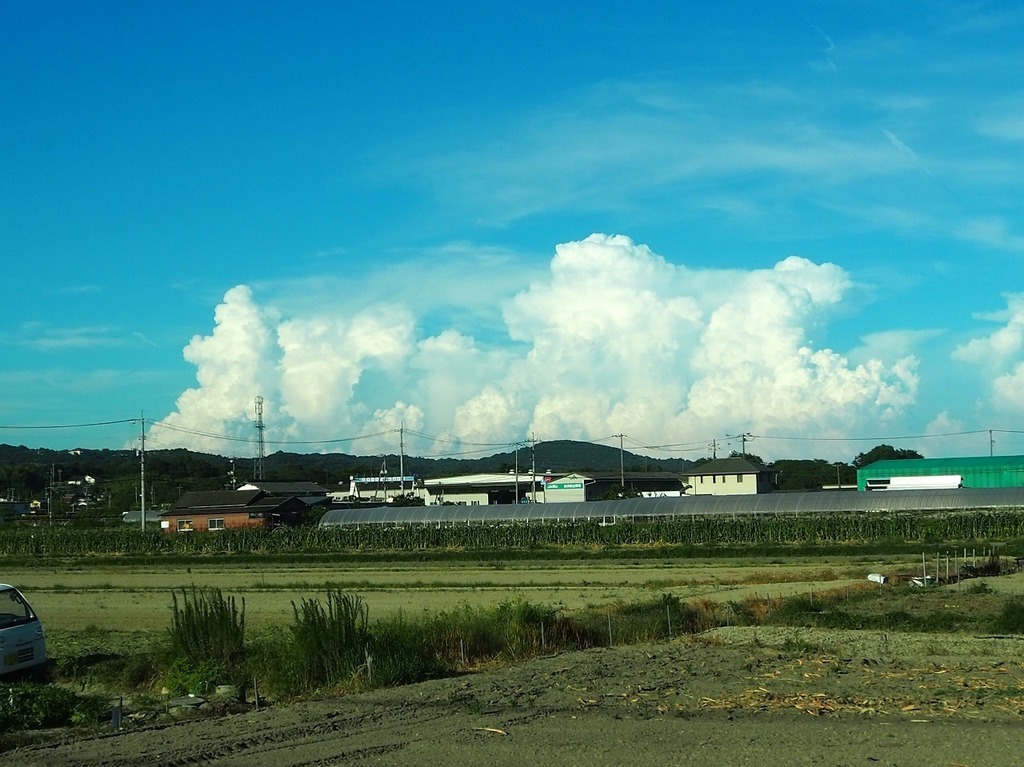 60.jpg