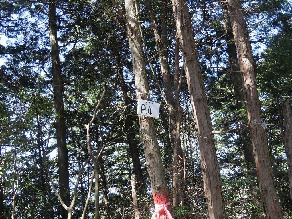 61.jpg
