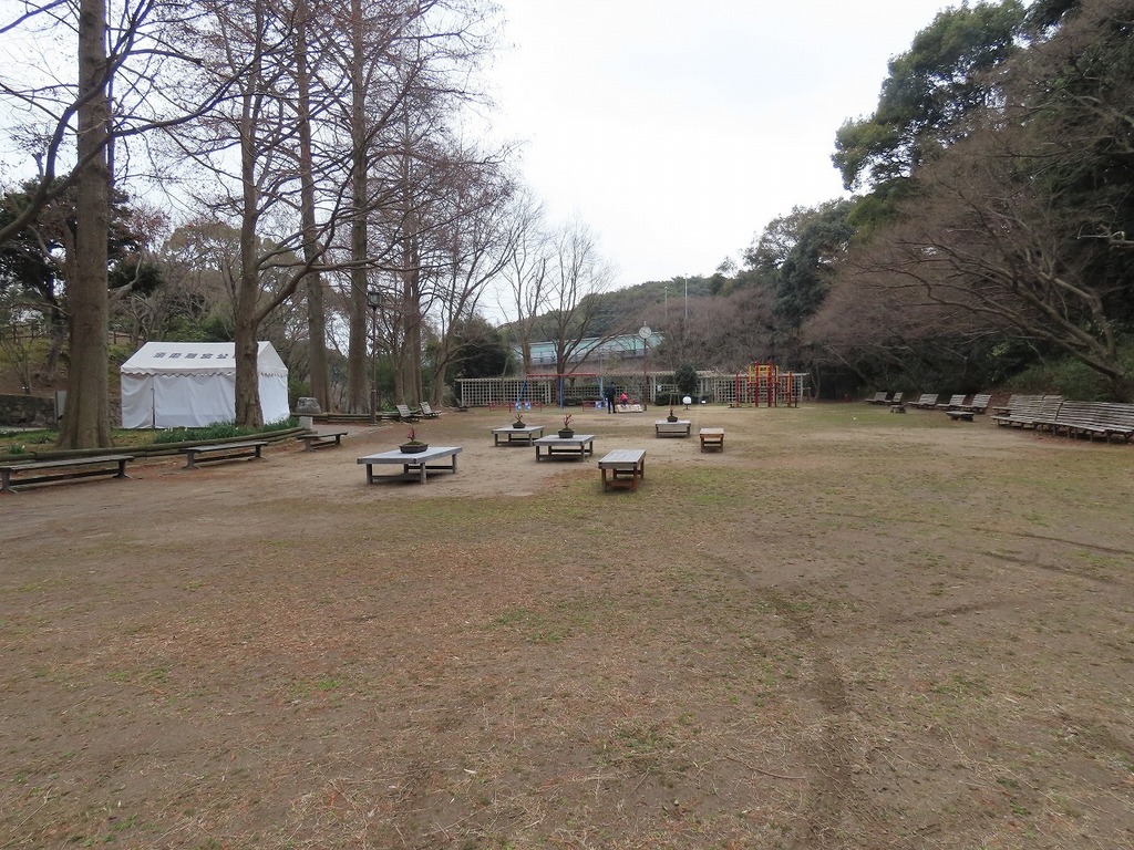 63.jpg
