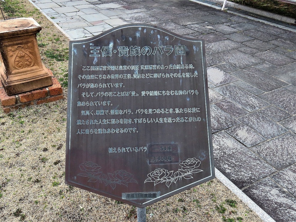 65.jpg