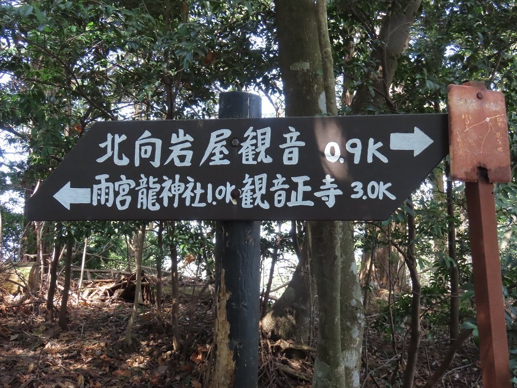66.jpg
