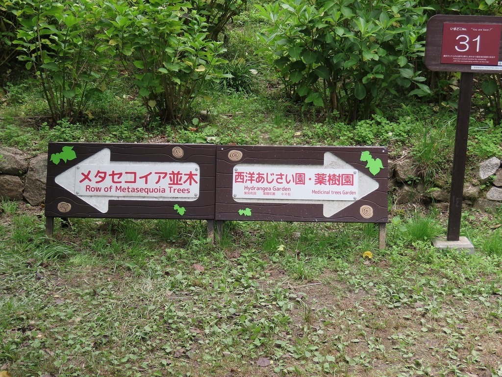 66.jpg