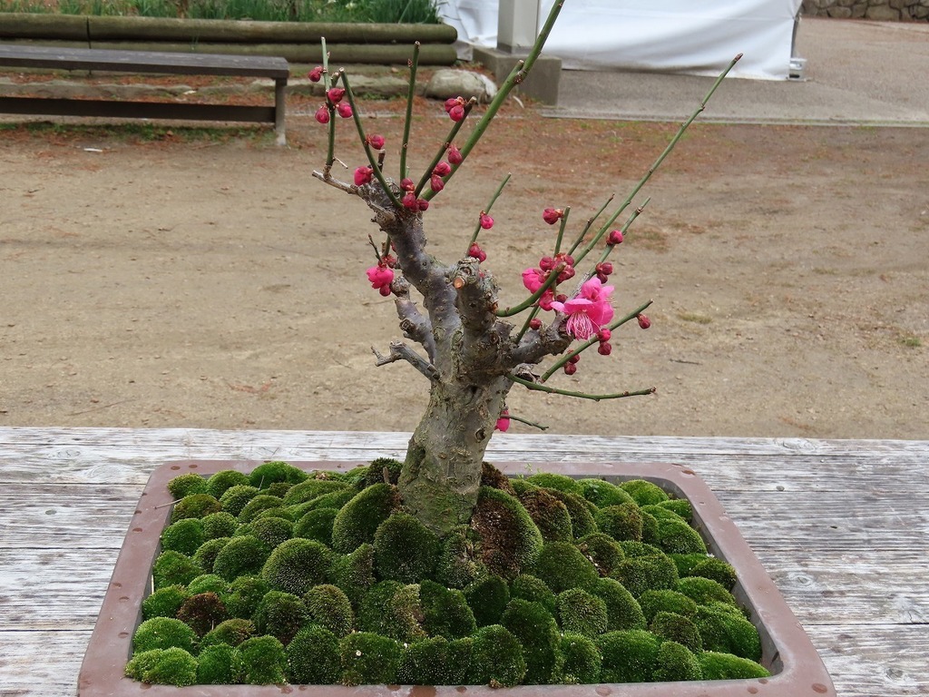 67.jpg