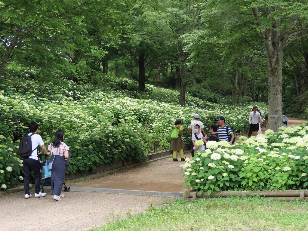 67.jpg