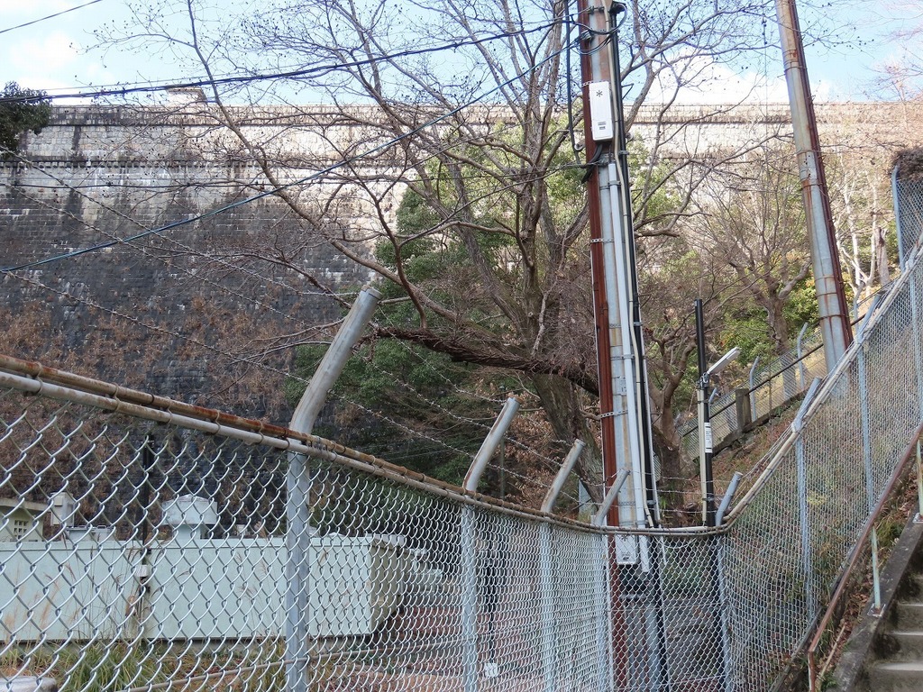 67.jpg