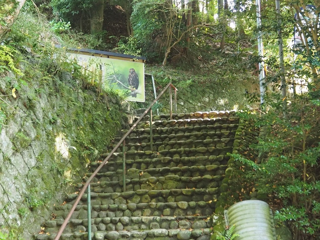 67.jpg