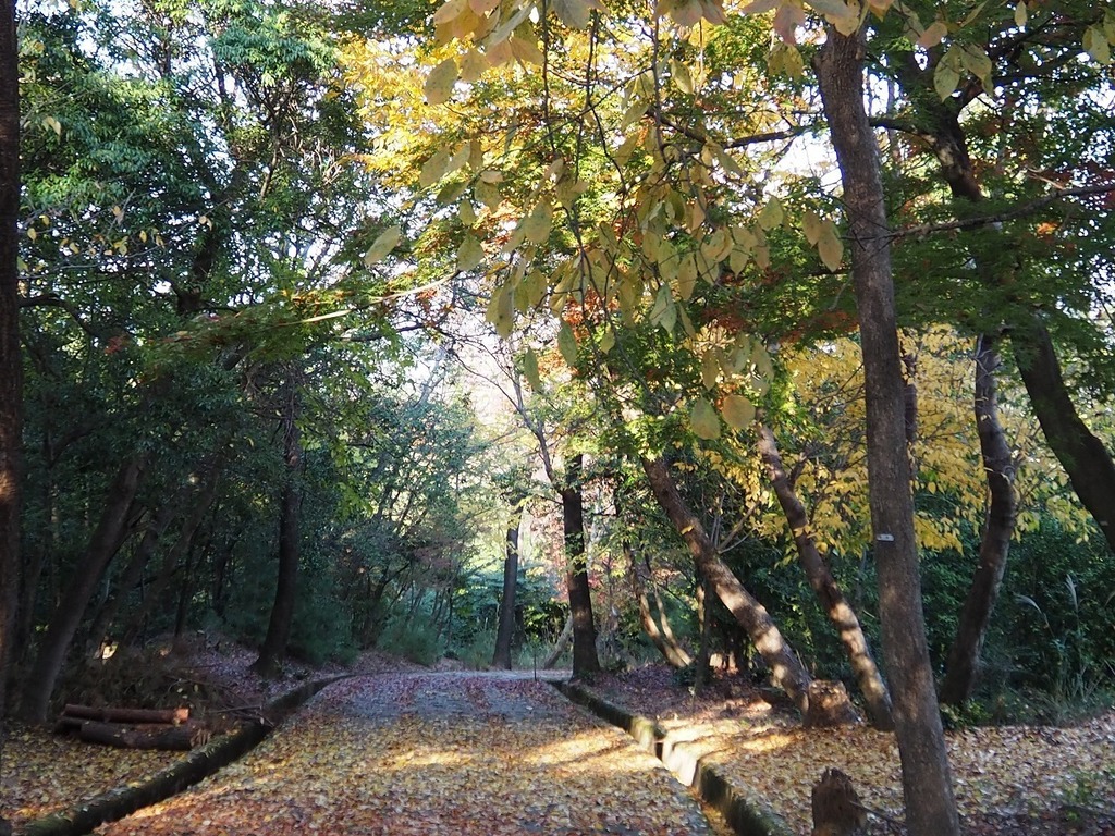 68.jpg