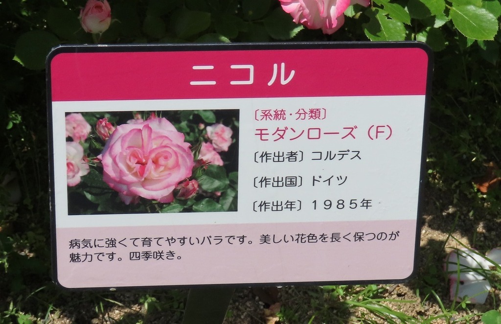 70.jpg