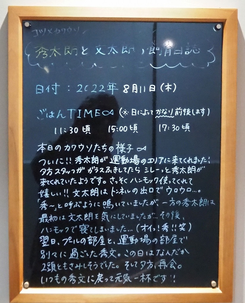 71.jpg