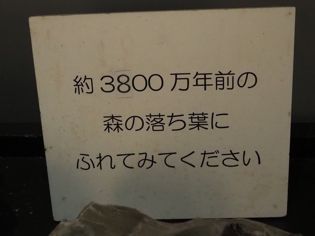 72.jpg